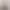 SECOND SKIN