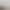 Image of the item UNSPOKEN