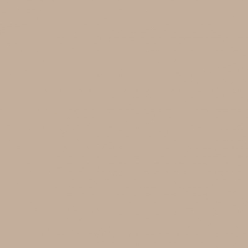 SS27-BRW